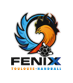 Fenix handball Toulouse